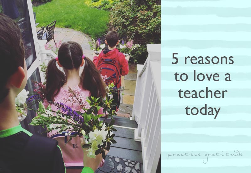 5 Reasons to Love a Teacher Today